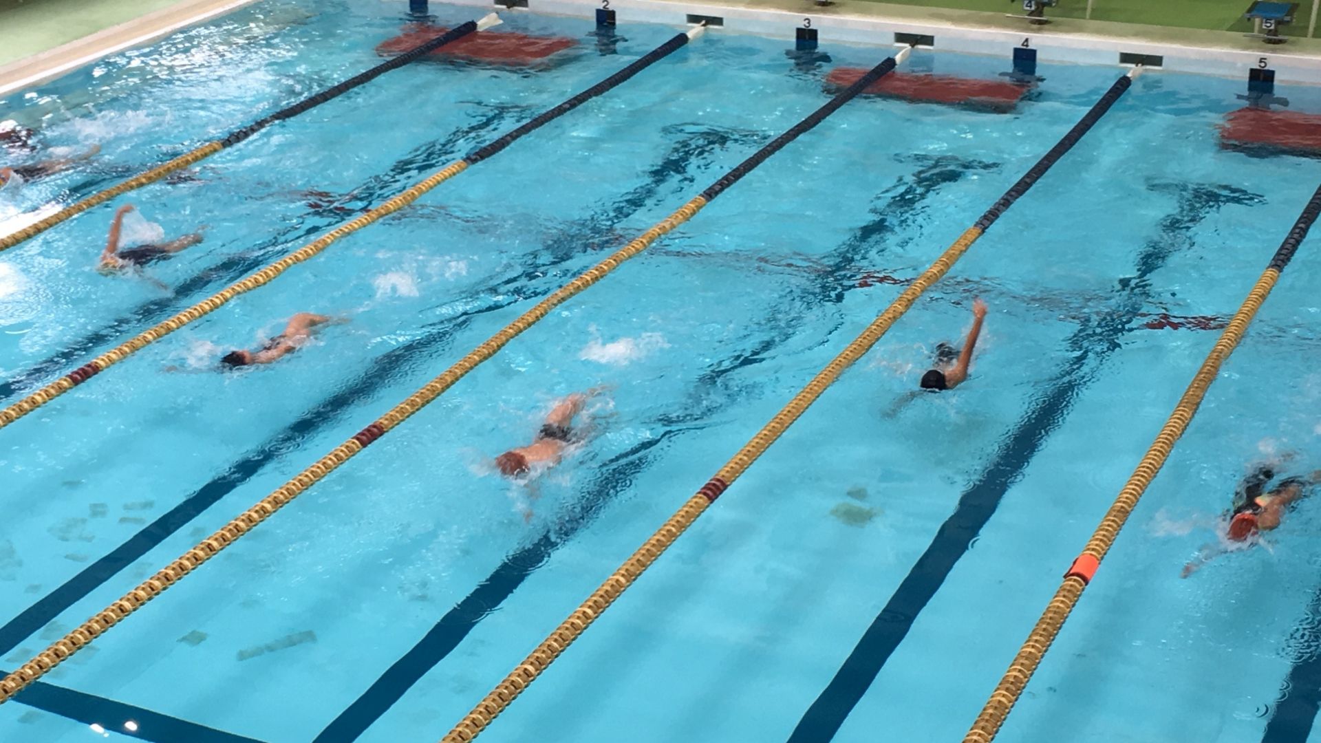 ダイレオのプール洗体シャワーシステムのご紹介【プール施設向け】のアイキャッチ